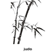 judo